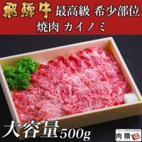 飛騨牛 焼肉 ギフト カイノミ 500g 3〜4人前用 A5 A4