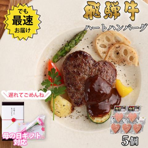 【遅れてごめんね!母の日 2026】飛騨牛 ハートハンバーグ 食べ比べ ギフト 5個