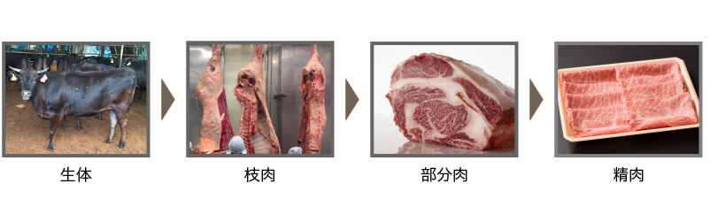 牛肉の形態の変化